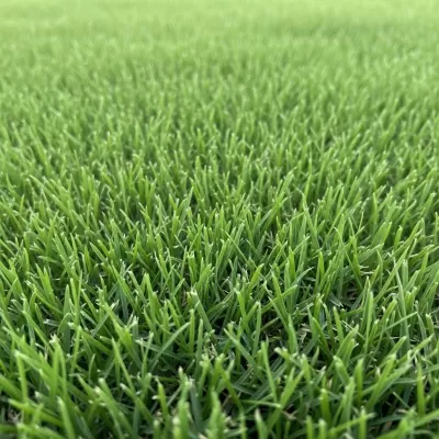 Imagen PNG para descargar